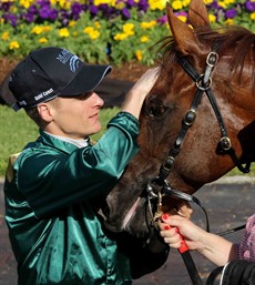 Capitalist ... 
beaten but not out of the Slipper picture

Photo: Graham Potter