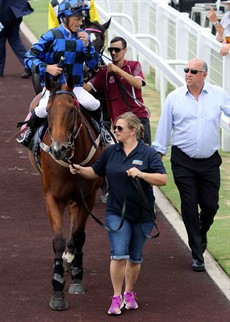 Coming off the track after the Doomben gallop