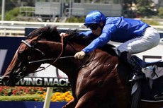 ... after Souchez had stretched out to victory in the Pago Pago Stakes