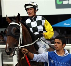... and going out onto the track at Doomben in the famous colours of the Think Big Stud Synd (Mgrs: D G Ramage & Dato Tan Chin Nam) 