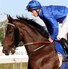 ... and Hauraki ... Two big chances in the Doomben Cup

Photos: Graham Potter