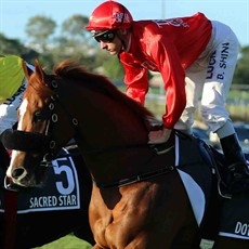 Dothraki ... runner-up in the BTC Cup. Could go one better in the Doomben 10 000