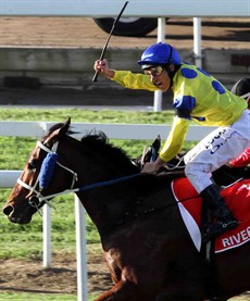 Damien Oliver celebrates his first Stradbroke victory aboard River Lad in 2014. Will he add another notch onto his belt on Saturday?