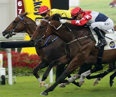 Twin Delight (in yellow), with Derek Leung on board, edges Joyful Trinity to win the Kwangtung Handicap Cup (Class 1, 1400m).