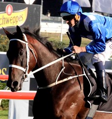 
The likes of Winx (pictured) and Hartnell give us obvious opportunities to stand back and admire the horse for what it does, but there should be a greater awareness by race-clubs on an on-going basis to promote and give the horse its due

Photos: Grant Guy