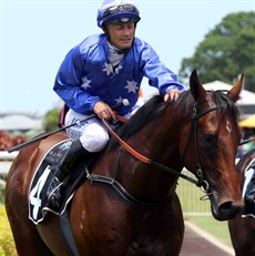 ... returning on Ours To Keep after the colt's win in the Phelan Ready at Doomben (see below)
