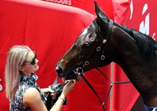 Cellargirl - my best roughie (see race 8)

Photos: Graham Potter