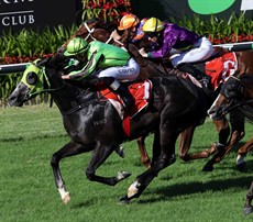 Time to Torque won well first up at Eagle Farm two weeks ago. Whilst it was unwanted in the betting, being sent out at $21, it won impressively and did run some nice races around the winter time in 2016 ...