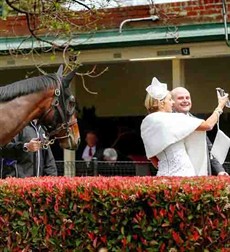 Nat Moody and I were busted getting our Winx selfie. The professionals were snapping. Credit: Colleen Petch, Herald Sun.

The most incredible performance I have seen in the flesh was the Cox Plate win last spring by Winx – who could have thought after breaking the track record the year before she could produce a performance even better