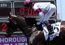 There is one here that you should not let get under your guard – Poncherello - who is now trained by Les Kelly. He ran an honest race on Magic Millions Day and then came out last start on the Gold Coast and franked that run with an impressive win (see race 7)