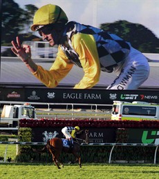 Here Bowman brings Clearly Innocent back to scale in front of the massive infield screen which shows his reaction in the moment of victory.

Not everybody was happy though. In fact huge criticism of the track surface saw Racing Queensland intervene with a far reaching decision made to move the balance of the Brisbane Carnival to Doomben

Photos: Graham Potter