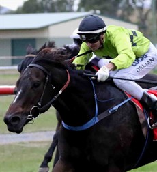 O’Spacehello won first up here at Kilcoy on 12 May and since then the David Murphy trained mare has had two starts at Ipswich where she has performed well – a change a jockey this week with Beau Appo taking the ride. She should be hard to beat (see race 1)