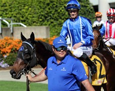 Badajoz ... a winner last start and one of two Godolphin runners in the Ramornie 