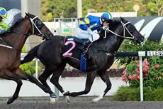 Craig Grylls breaks through for his first win at Kranji aboard Uncle Lucky 

Photo: Courtesy Singapore Turf Club