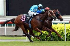 Situation (Nooresh Juglall, No 8) edges past Oliver (Matthew Kellady) but more anxious moments 
awaited in the Stewards' room

Photo: Courtesy Singapore Jockey Club