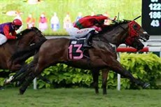 Super Fortune brings up a second consecutive win under the guidance of Olivier Placais

Photo: Courtesy Singapore Turf Club