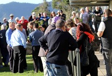 The crowd at Murwillumbah patiently waiting on the steward's decision