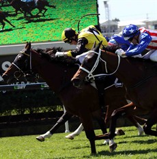 With Brad Stewart’s whip rule protest being dismissed at Doomben on Saturday, even though it was established that the winner had breached the whip rule, the debate is on again. (Brad is in the blue cap)
