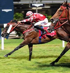 Vincent Ho drives Dr Win Win to the line to win the Class 3 Dordenma Handicap for trainer Frankie Lor.

Photo: Courtesy Hong Kong Jockey Club