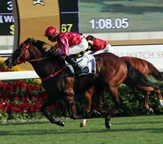 The John Size-trained Mr Stunning (No. 1), ridden by Nash Rawiller, storms home to take the G2 Premier Bowl Handicap (1200m) at Sha Tin Racecourse 