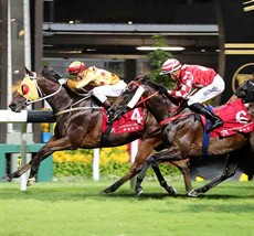 Gold Land (4) earns a first Hong Kong success under Sam Clipperton.