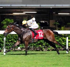 Jack Wong drives Good Companion to victory in the last to give trainer Derek Cruz a double.

Photos: Courtesy Hong Kong Jockey Club