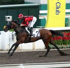 Me Tsui’s Divine Boy wins for the first time in nearly two years, taking the Class 3 Tsuen Lok Handicap (1650m) under Joao Moreira.

Photos: Courtesy Hong Kong Jockey Club