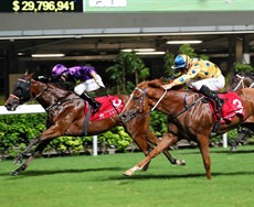 Jockey Neil Callan drives Keep Moving to victory in the Class 3 Causeway Bay Handicap, one of two winners for trainer Ricky Yiu.

Photos: Courtesy Hong Kong Jockey Club