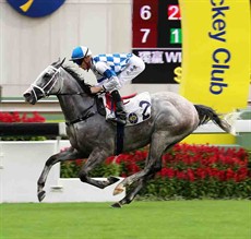 Silverfield gave Michael Freedman a double from just two runners at Sha Tin on Sunday, winning the Class 4 Nam Sang Wai Handicap with Chad Schofield in the plate.

Photos: Courtesy Hong Kong Jockey Club