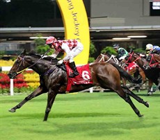 Matthew Chadwick guides Brave Legend to victory in the first race of this season’s Hong Kong Airlines Million Challenge.