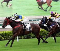 Joao Moreira makes it five wins aboard Yourthewonforme, who provided new trainer Frankie Lor with his first victory as a handler.

Photos: Courtesy Hong Kong Jockey Club
