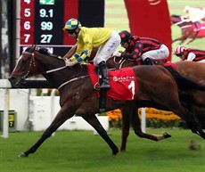 The John Moore-trained Werther (horse No. 1), ridden by Tommy Berry, wins the BOCHK Jockey Club Cup (G2 – 2000m) at Sha Tin Racecourse today.