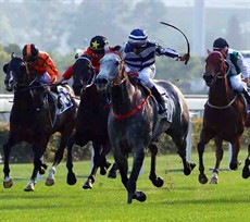 Peter Ho-trained Fifty Fifty (No. 7 – blue and white silks), ridden by Karis Teetan, takes the Chevalier Cup (Class 1 1600m) at Sha Tin Racecourse