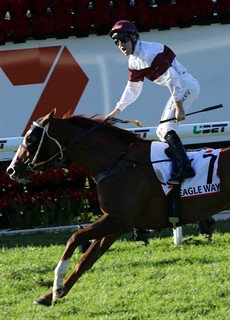 Remember when ... Eagle Way and Tommy Berry take out the Queensland Derby for trainer Bryan Guy at Eagle Farm on Stradbroke Day 2016

Photo: Graham Potter