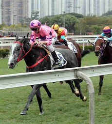 Hot King Prawn remains unbeaten from five starts in the Class 2 Chek Keng Handicap (1000m), with Zac Purton once again in the saddle.