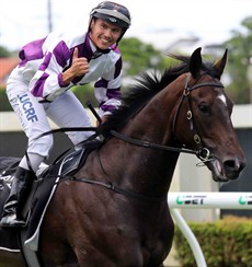 Brisbane's leading trainer Tony Gollan has two runners in the big race.

The ability of Ef Troop (pictured above) is not in doubt but the draw does him no favours ... 