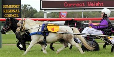 Mini Trotters - always a favourite with the crowd at Kilcoy


Photos: Darren Winningham and Graham Potter