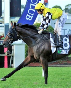  Karakabeel - He got there last time but let's hope Matty McGillivray rides him closer this week - then again, as he says, 