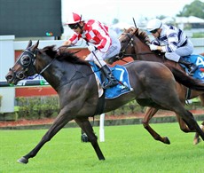 Glendara beats Capetown Hussey last start - I think that tables will be turned this week. (see race 5)