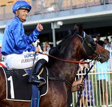Damian Browne is not doing badly in blue either. He went BANG on Impending in the Victory Stakes and he stays on last year;s Stardbroke winner for the Doomben 10 000 (see race 8)