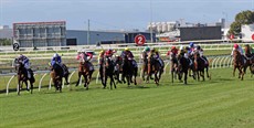 The field for the final of the Battle Of The Bush thunders down the home straight at Doomben


Photos: Graham Potter