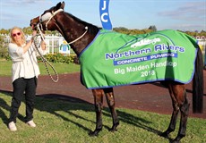 Usurp broke through for a big, maiden win in the $45,000 Northern Rivers Concrete Pumping Big Maiden Showcase Handicap (1200m) on Cup Day.

The Maryann Brosnan-trained gelding, a three-year-old son of Lonhro, followed up on a half-length second at Ipswich with his breakthrough success at Grafton. Jim Byrne rode the gelding and believes there are more successes in store for him. 