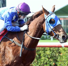 Sairyn takes Marina to the line for a Darwin success in his first visit to the Carnival