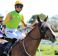 Shesees Everything (12), trained by TonyGollan,has been in wonderful form of late and has been running in some higher-class races. This track will suit her style of racing as she likes to get back midfield and make a run at them. The last start win at Doomben two weeks ago was sensational. (see race 7)