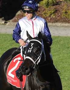 Jockey Ryan Maloney and Rippin 'n' Tearing's after the gelding's win on August 19