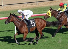 … she too was a debut winner at Ipswich on November 8