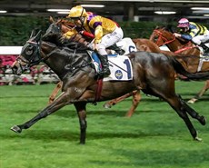 Citron Spirit carries Matthew Poon to victory in the Happy Valley Vase