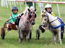 Mini Trots
Get along and support the kids and the Mini Trot races - 3 are scheduled this weekend. They are always popular with the patrons!

Photos: Darren Winningham and Graham Potter