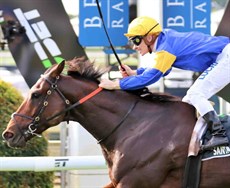 In the Chairman’s Sprint Australia will have wonderful and competitive representation through Santa Ana Lane (pictured above), trained by Anthony Freedman, and Viddora (connections pictured below), trained by Lloyd Kennewell. Both are Group 1 winners and should be right in the race. 