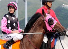 Gwen and Jim's crowning glory of the day was watching their old friend Zac Purton in action on the Hong Kong Champion Beauty Generation